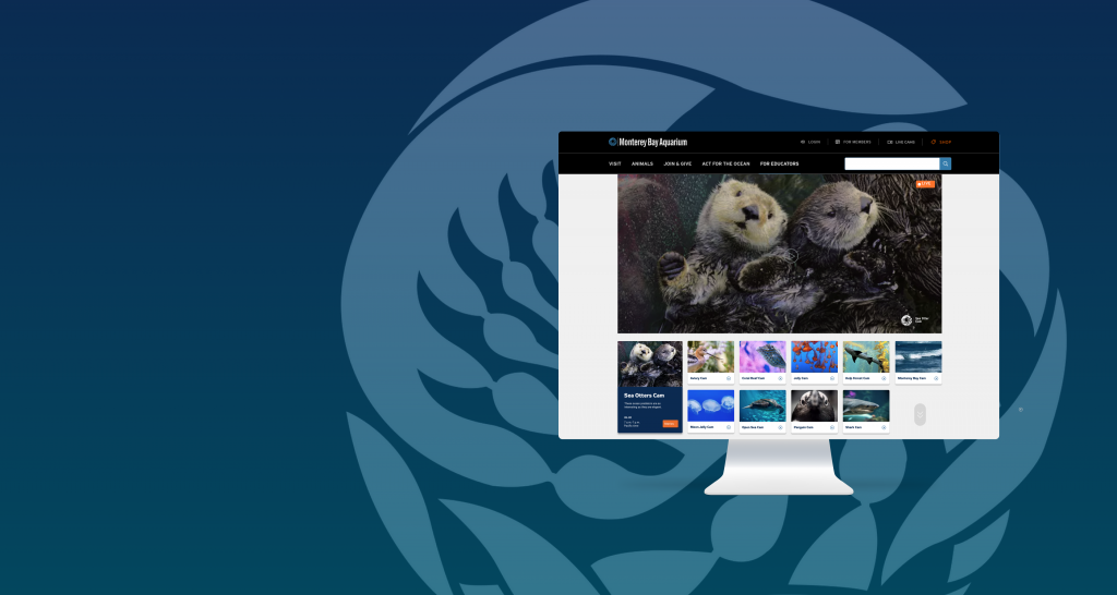 UX Design/Research for Monterey Bay Aquarium